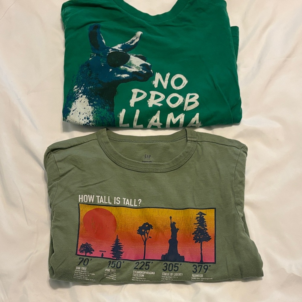 Size 6 GAP Kids Olive Green Graphic Tee with Sunset Height Chart